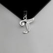 #D116 - Dije De Letra Con Zirconia De Plata - A10/1.2