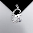 #D106 - Dije De Letra Grande Piedra Zirconia Plata - A13/2.2