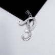 #D106 - Dije De Letra Grande Piedra Zirconia Plata - A13/2.2