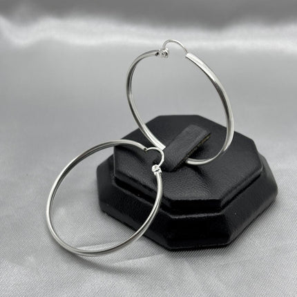 #ARR112 - Arracada Lisa De Plata - A08/5.8