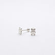 #BR359 - Broquel De Osito De Plata .925 - E37/